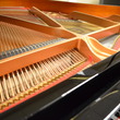 2013 Yamaha DGB1K Disklavier E3 model with record - Grand Pianos
